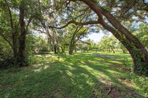 Land in Temple Terrace, Florida № 1341061 - photo 12