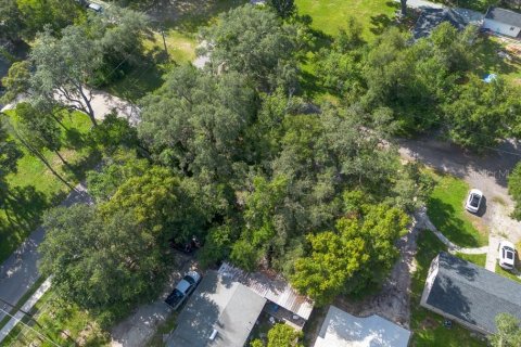 Land in Temple Terrace, Florida № 1341061 - photo 26