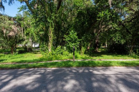 Land in Temple Terrace, Florida № 1341061 - photo 4