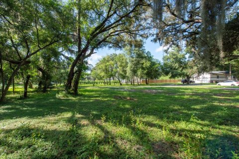 Land in Temple Terrace, Florida № 1341061 - photo 13