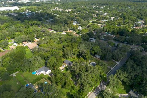 Land in Temple Terrace, Florida № 1341061 - photo 19