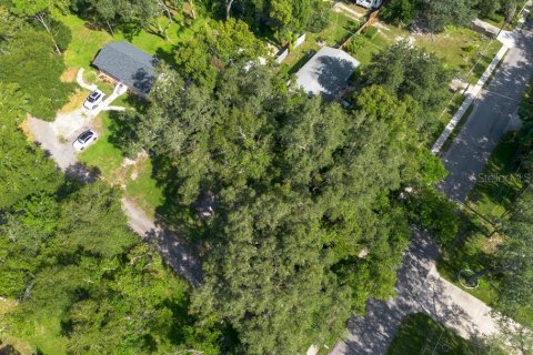 Land in Temple Terrace, Florida № 1341061 - photo 29