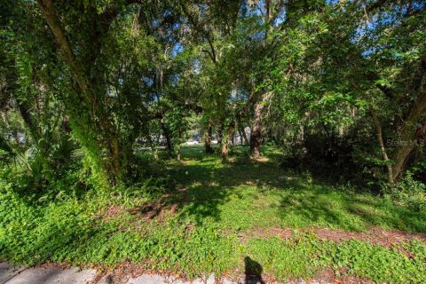 Terreno en venta en Temple Terrace, Florida № 1341061 - foto 8