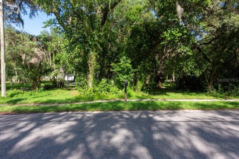 Terreno en venta en Temple Terrace, Florida № 1341061 - foto 3