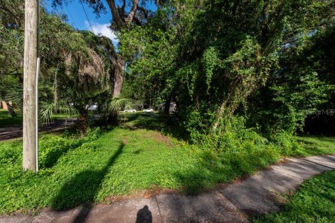 Land in Temple Terrace, Florida № 1341061 - photo 7