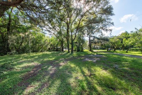 Terreno en venta en Temple Terrace, Florida № 1341061 - foto 11