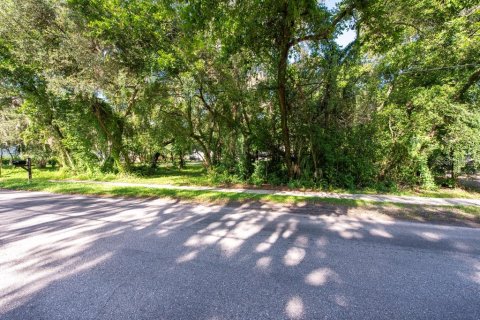 Land in Temple Terrace, Florida № 1341061 - photo 5