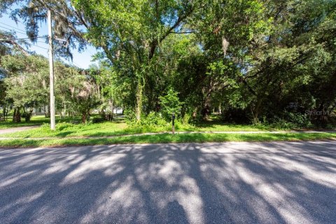 Terreno en venta en Temple Terrace, Florida № 1341061 - foto 2