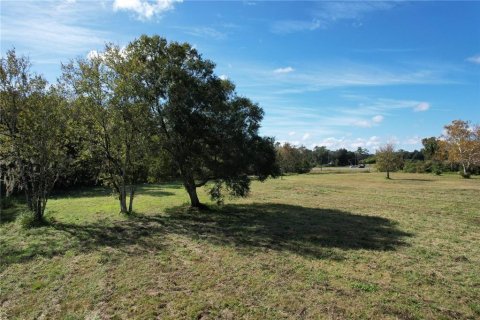 Terreno en venta en Orlando, Florida № 1274725 - foto 10