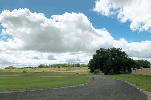 Land in Dunnellon, Florida № 1340949 - photo 19