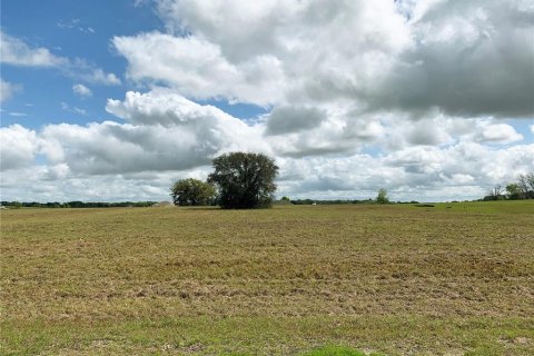 Land in Dunnellon, Florida № 1340949 - photo 17