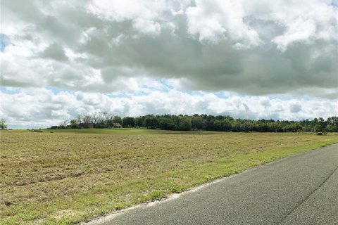 Terrain à vendre à Dunnellon, Floride № 1340949 - photo 9