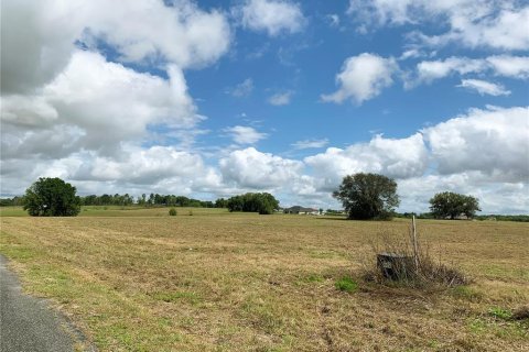 Land in Dunnellon, Florida № 1340949 - photo 12