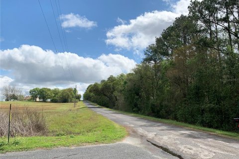 Terrain à vendre à Dunnellon, Floride № 1340949 - photo 20