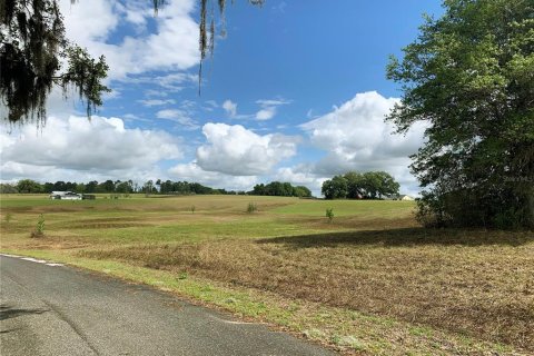 Terrain à vendre à Dunnellon, Floride № 1340949 - photo 6