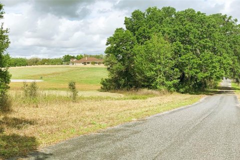 Land in Dunnellon, Florida № 1340949 - photo 7