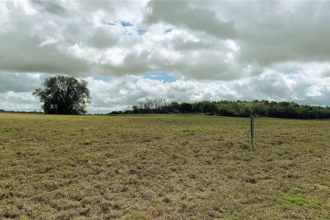 Terrain à vendre à Dunnellon, Floride № 1340949 - photo 4