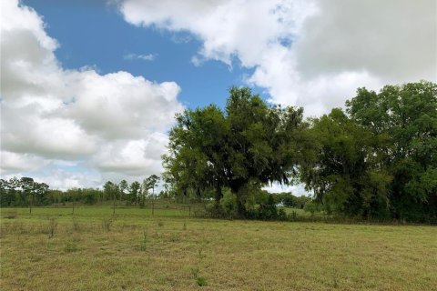 Terrain à vendre à Dunnellon, Floride № 1340949 - photo 26