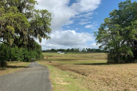 Terrain à vendre à Dunnellon, Floride № 1340949 - photo 5