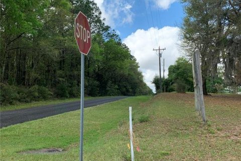 Land in Dunnellon, Florida № 1340949 - photo 27