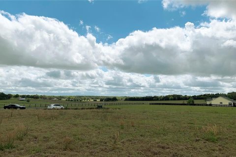 Land in Dunnellon, Florida № 1340949 - photo 24