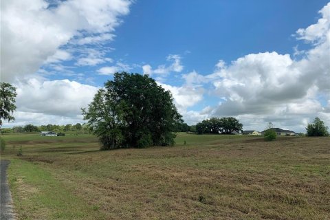 Terreno en venta en Dunnellon, Florida № 1340949 - foto 3