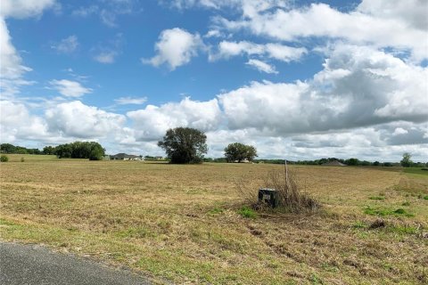 Land in Dunnellon, Florida № 1340949 - photo 11