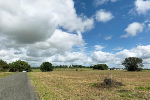 Land in Dunnellon, Florida № 1340949 - photo 15