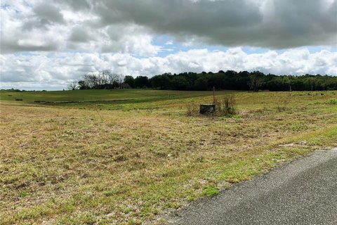 Terrain à vendre à Dunnellon, Floride № 1340949 - photo 10