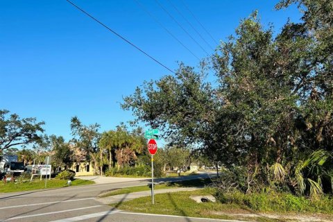 Купить земельный участок в Порт-Шарлотт, Флорида № 262860 - фото 4