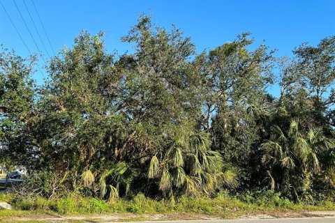 Купить земельный участок в Порт-Шарлотт, Флорида № 262860 - фото 2