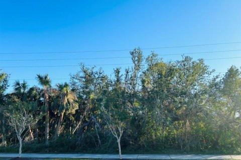 Купить земельный участок в Порт-Шарлотт, Флорида № 262860 - фото 3