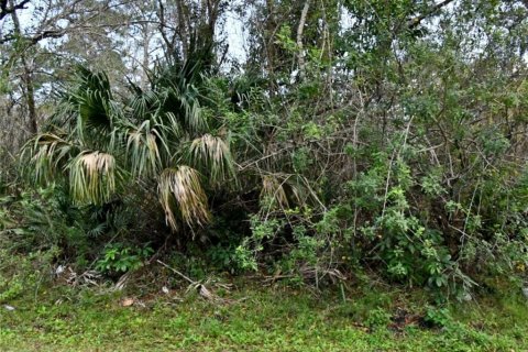 Terreno en venta en St. Lucie, Florida № 664497 - foto 1