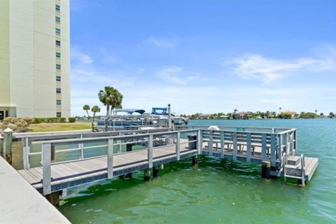 Copropriété à louer à Saint Pete Beach, Floride: 2 chambres, 105.07 m2 № 1354979 - photo 14