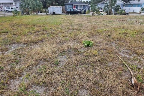 Land in Tampa, Florida № 1432844 - photo 3