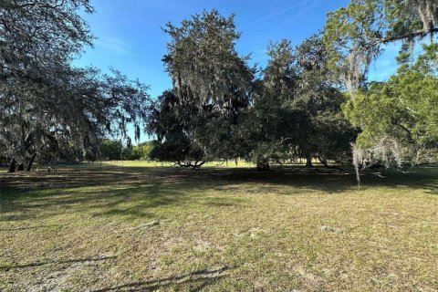 Land in Titusville, Florida № 1387529 - photo 9