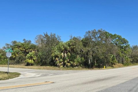 Land in Port Charlotte, Florida № 1006493 - photo 5