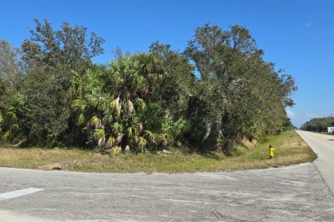 Terreno en venta en Port Charlotte, Florida № 1006493 - foto 3