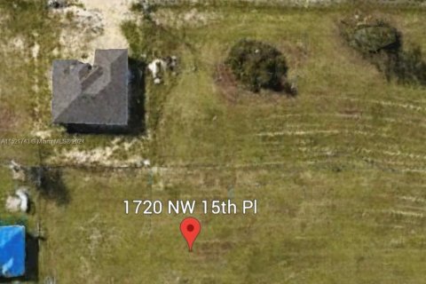 Commercial property in Cape Coral, Florida № 972137 - photo 5