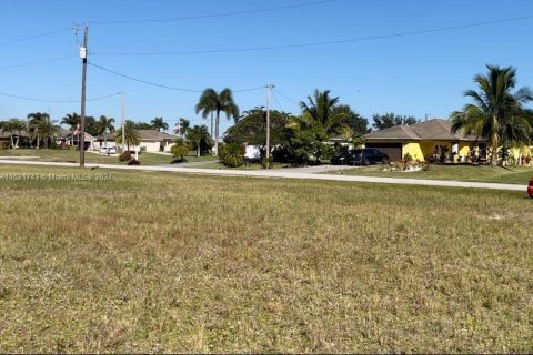 Immobilier commercial à vendre à Cape Coral, Floride № 972137 - photo 4