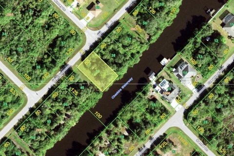 Land in Port Charlotte, Florida № 486070 - photo 2