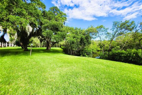 Condo in New Port Richey, Florida, 1 bedroom  № 1318561 - photo 4