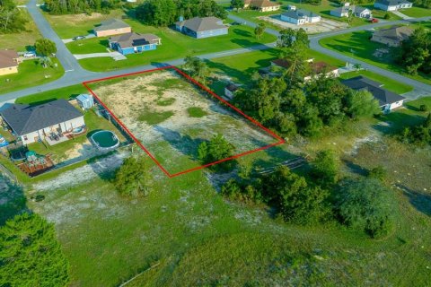 Terreno en venta en Ocala, Florida № 1407098 - foto 6