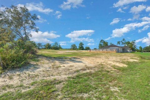 Terrain à vendre à Ocala, Floride № 1407098 - photo 3