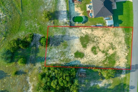 Terreno en venta en Ocala, Florida № 1407098 - foto 2