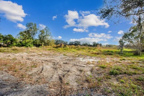 Land in Davenport, Florida № 957726 - photo 10