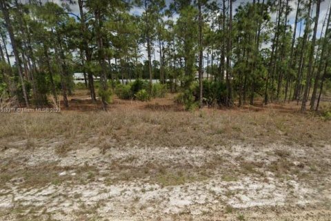 Купить земельный участок в Лихай-Эйкерс, Флорида № 270618 - фото 1