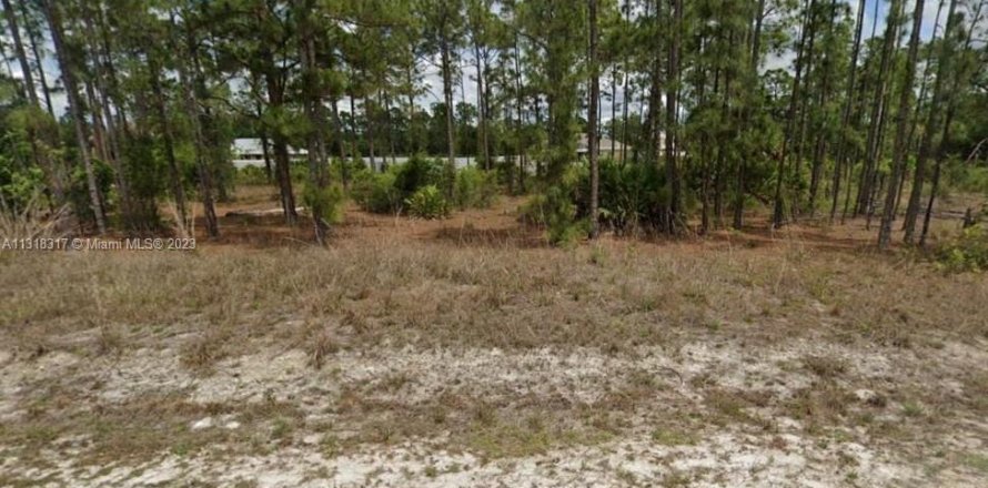 Land in Lehigh Acres, Florida № 270618