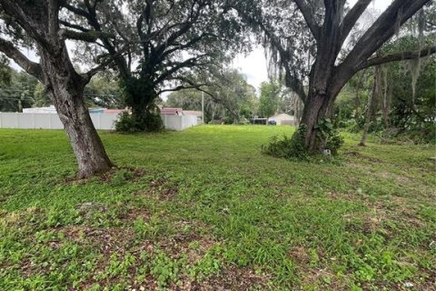 Land in Saint Cloud, Florida № 687188 - photo 3