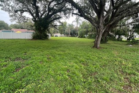 Land in Saint Cloud, Florida № 687188 - photo 1